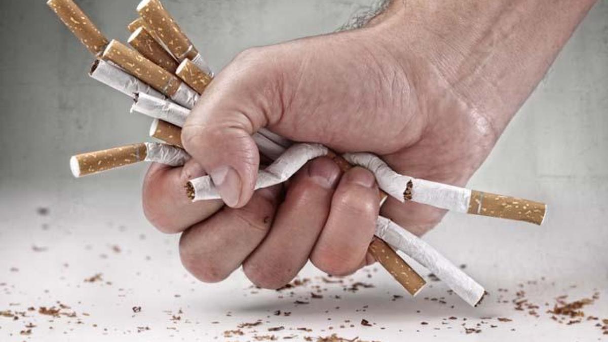 Nikotin nedir? Nikotinin zararları nelerdir? Nikotin içeren gıdalar -  Molatik Hayat
