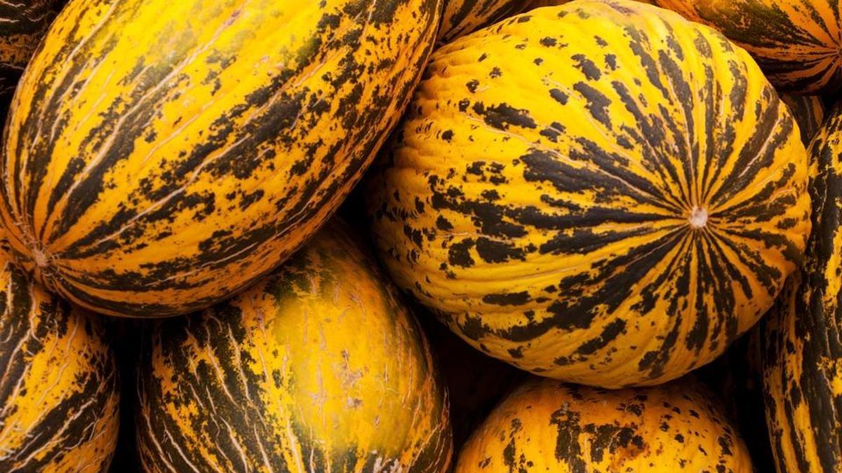 Kavunun 7 önemli faydası - Gazete Haberleri
