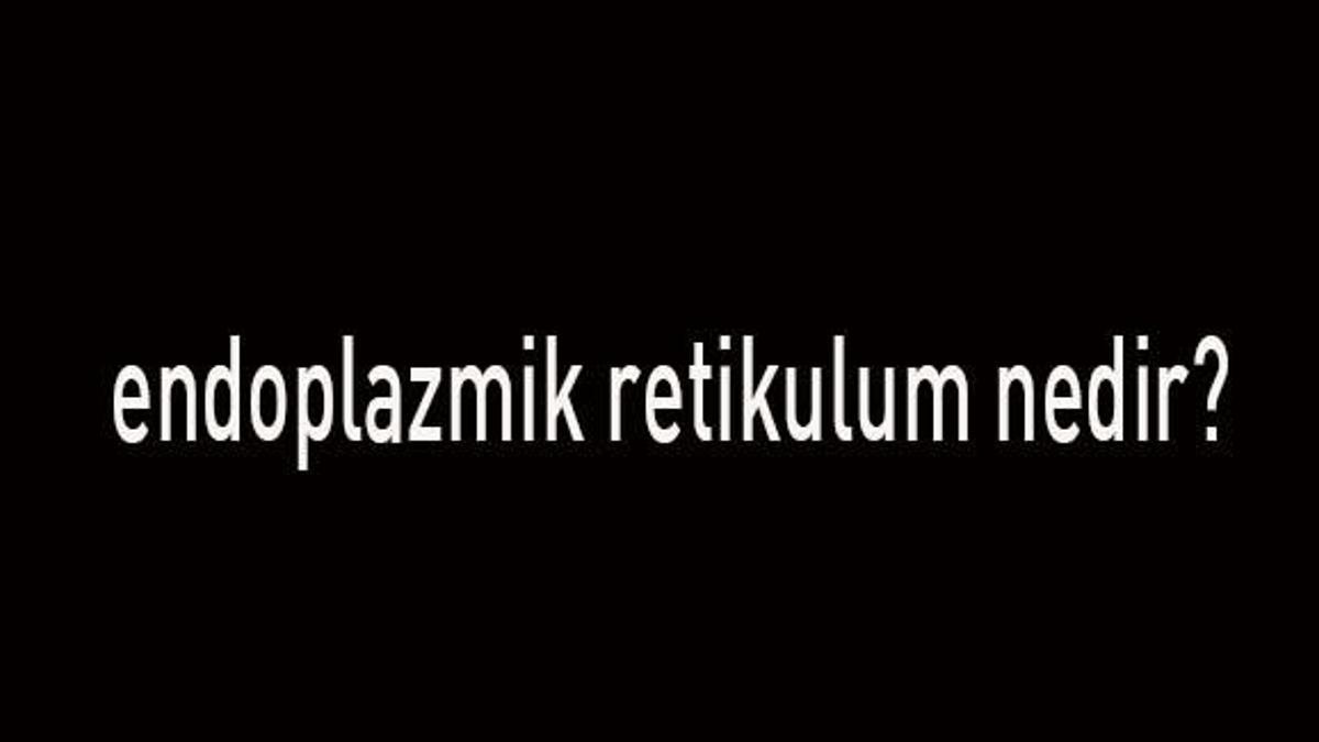 Endoplazmik Retikulum Nedir, Özellikleri Nelerdir? Endoplazmik Retikulum Görevleri Nelerdir?