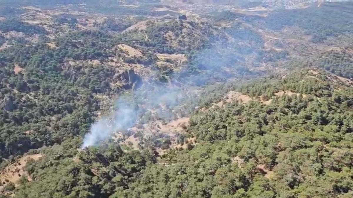 İzmir'de orman yangını 3 saatte kontrol altına alındı