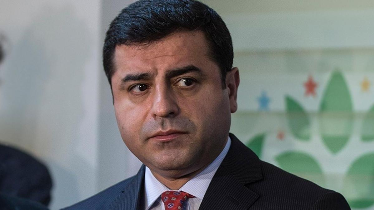 Eski HDP Eş Genel Başkanı Selahattin Demirtaş'a 2.5 yıl hapis cezası