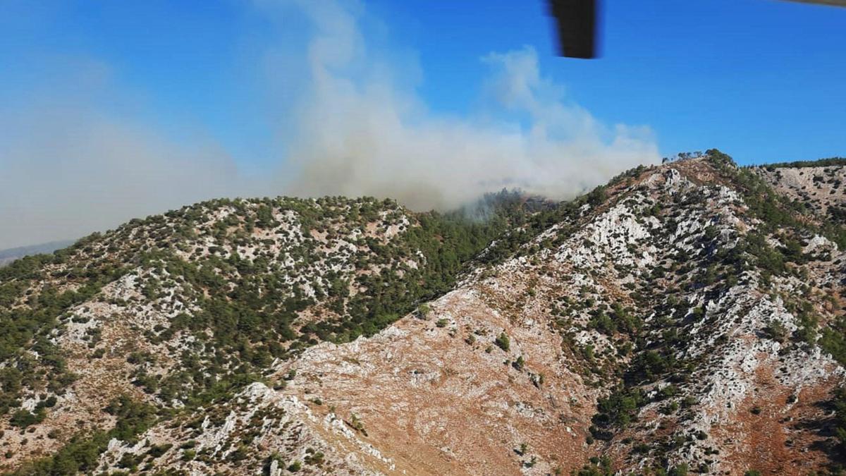Video Haber | Milas'ta orman yangını!