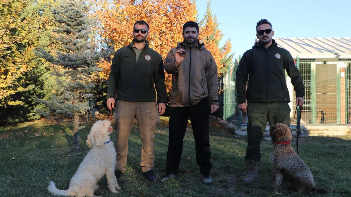 Bakanlığın eğitimli köpekleri ile trüf mantarının haritası çıkarılacak