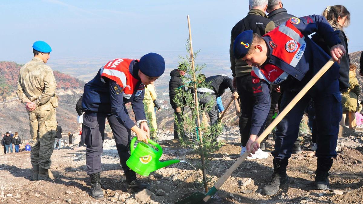 'Manisa'da bu yıl çıkan 198 orman yangınında 5 bin 250 hektar alan zarar gördü'