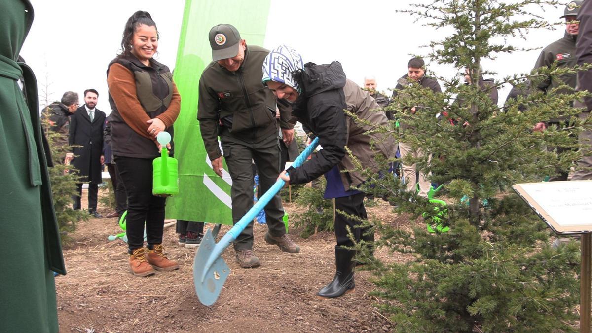 Ankara'da 'Gazze Hatıra Ormanı' oluşturuldu