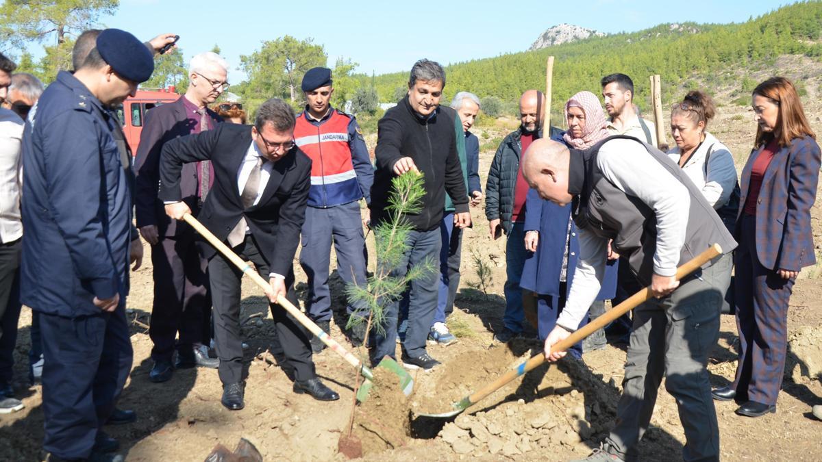 Serik'te fidanlar toprakla buluştu