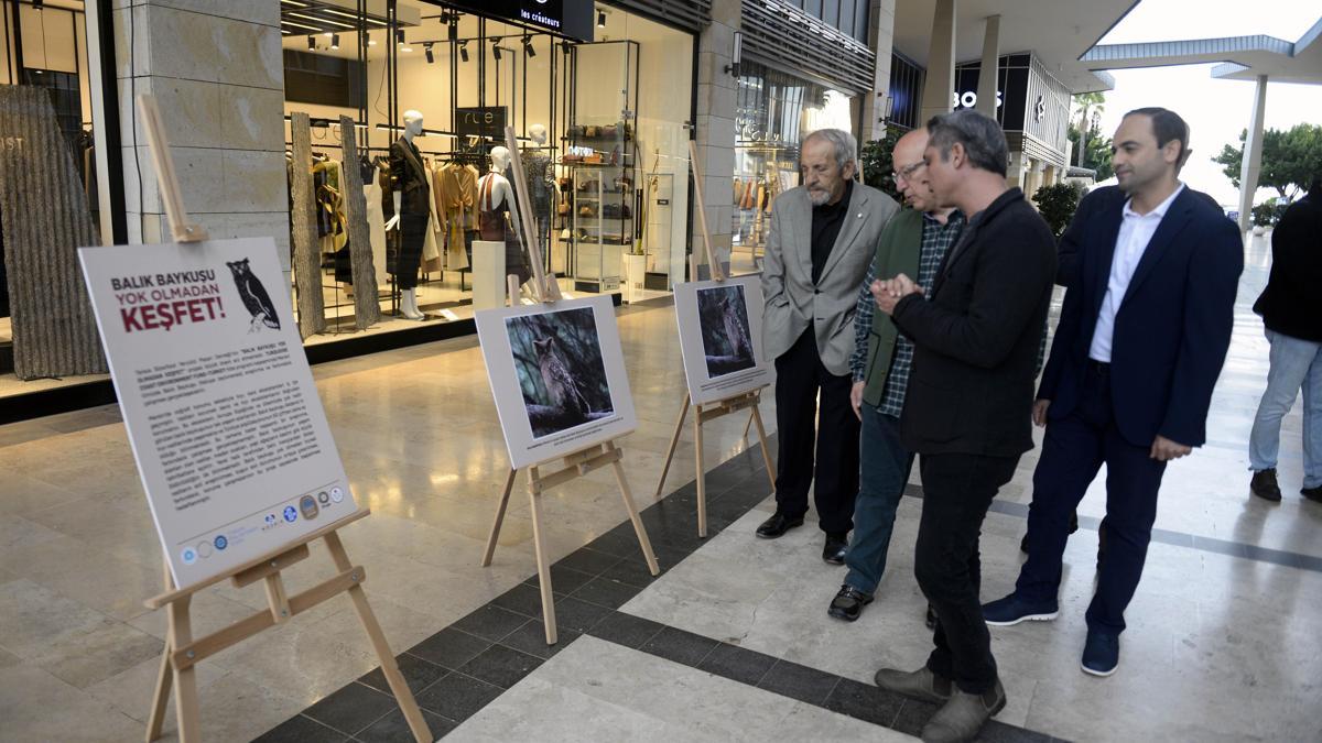 Mersin'de 'balık baykuşu' sergisi