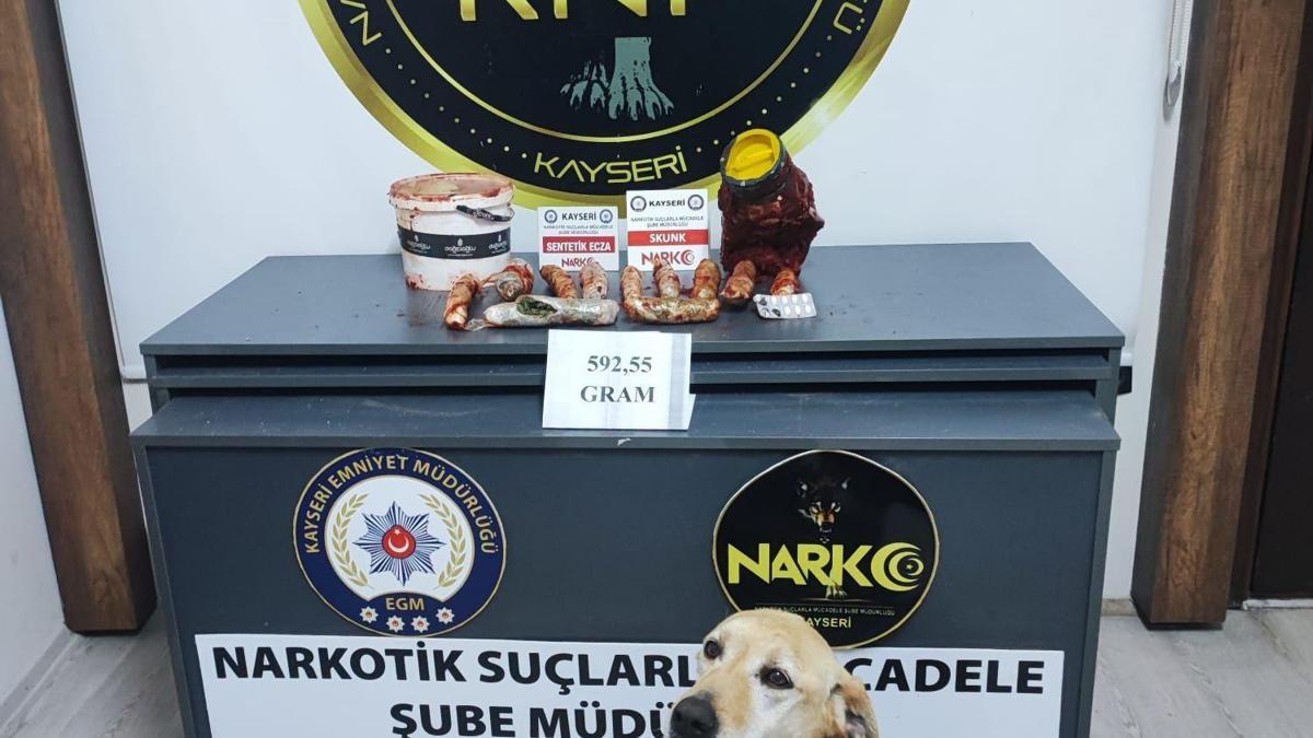 Salça bidonundaki uyuşturucu narkotik köpeği Jack buldu