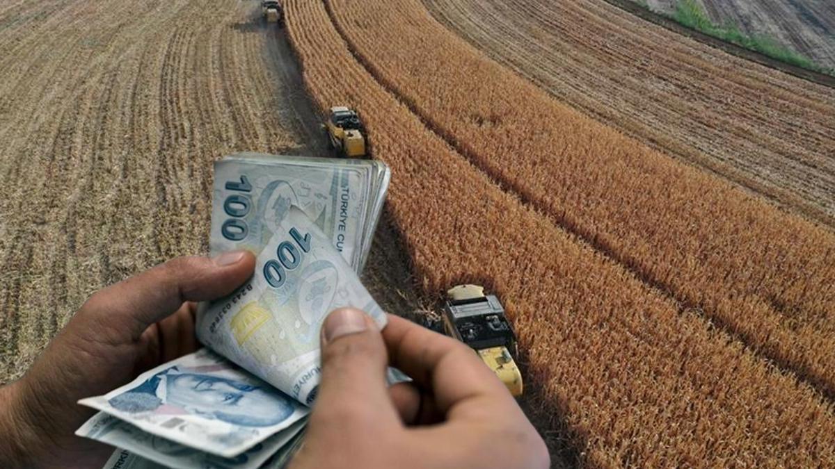 Tam 323,7 milyon! Destek ödemeleri hesaplara aktarılıyor