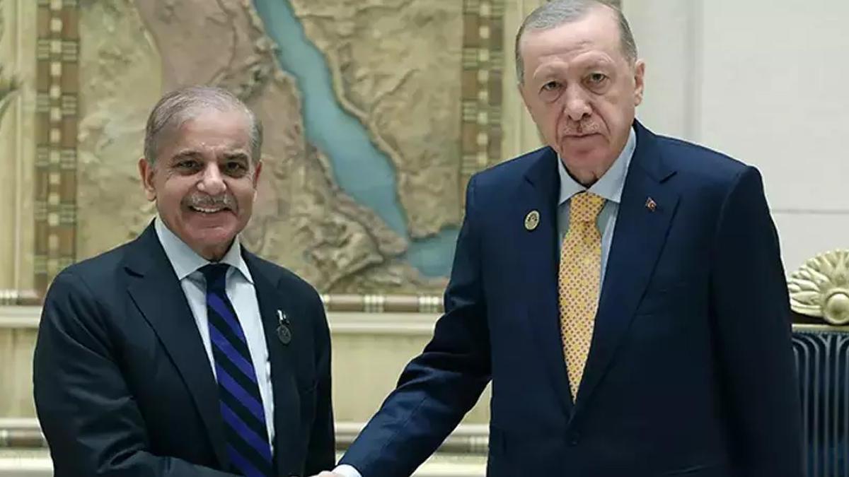 Cumhurbaşkanı Erdoğan, Pakistan Başbakanı Şahbaz Şerif'i kabul etti