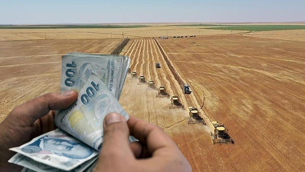 Bakanlık duyurdu! Çiftçilere müjde: 94 milyon 265 bin liralık destek ödemesi bugün yapılacak