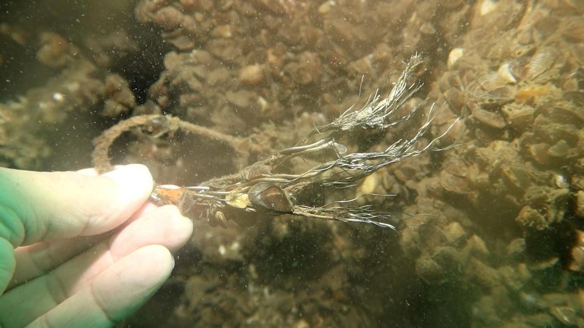 Sapanca Gölü'ne düşen uçağın enkazı 53 yıl sonra yeniden görüntülendi