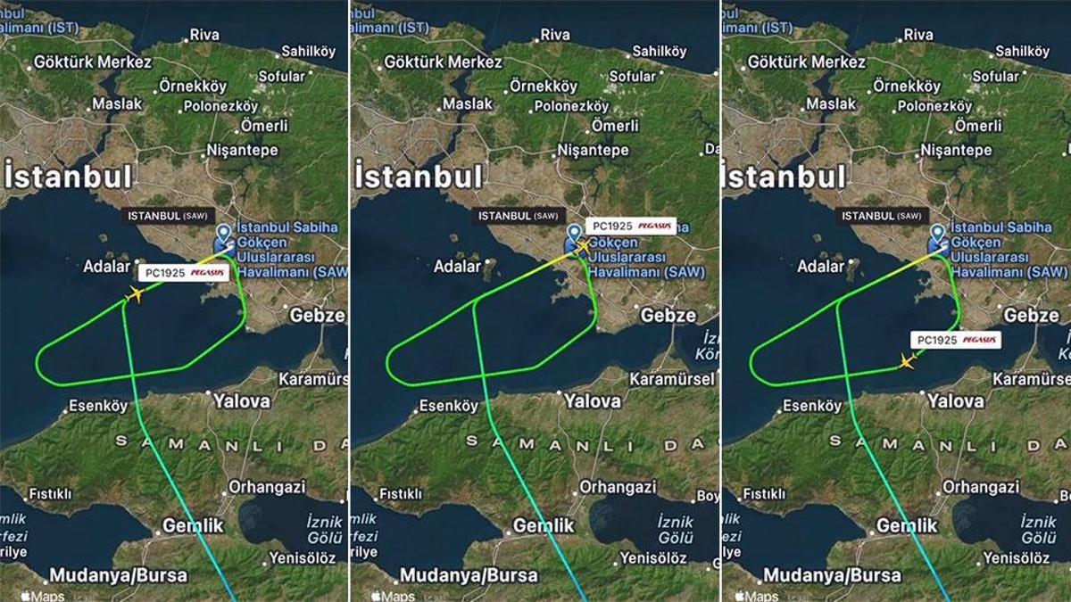 Sabiha Gökçen Havalimanı'nda 'tavşan' alarmı: Uçak pisti pas geçti