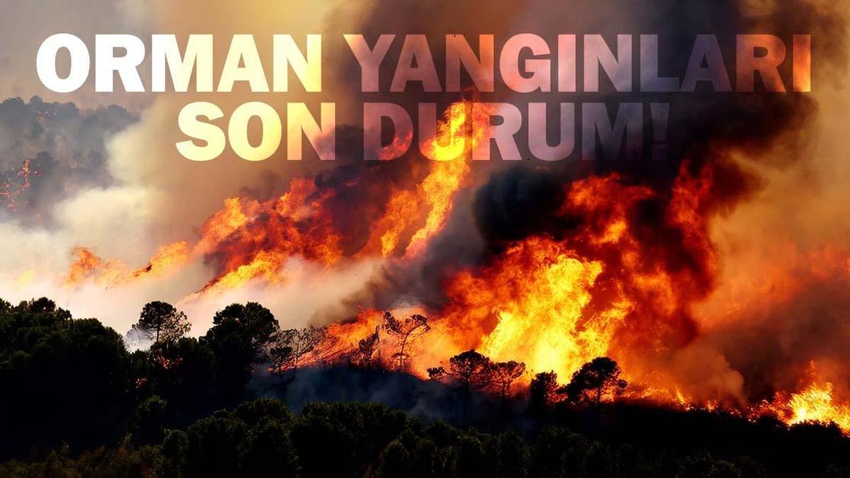 1 TEMMUZ ORMAN YANGINLARI SON DURUM: İzmir, Muğla, Aydın Orman Yangınları Söndürüldü mü? Yangınla Mücadele Sürüyor!