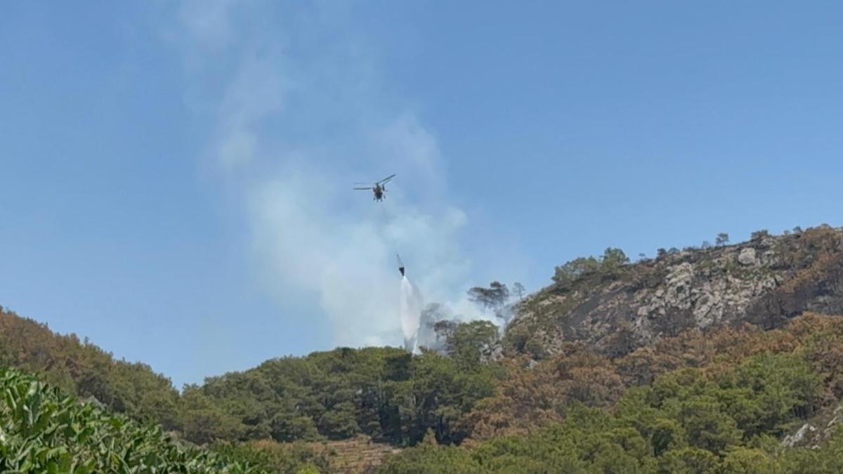 Antalya'daki orman yangınlarında 52 hektarlık alan zarar gördü