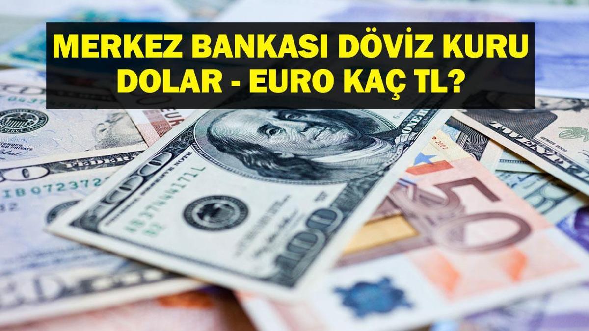 ANLIK MERKEZ BANKASI DÖVİZ KURU: 1 Dolar Kaç TL? 1 Euro Kaç TL? 28 Temmuz  Canlı Döviz Kuru
