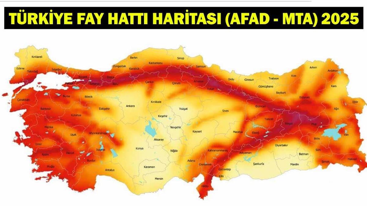 TÜRKİYE FAY HATTI HARİTASI (AFAD - MTA) 2025! MTA Diri Fay Hatları Hangi İllerden Geçiyor? AFAD Türkiye Deprem Riski Haritası Sorgulama!