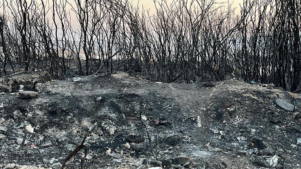 İzmir Buca'daki Yangın Havadan Böyle Görüntülendi: Dron Kayıtları Şehir Üzerindeki Etkisini Ortaya Çıkardı