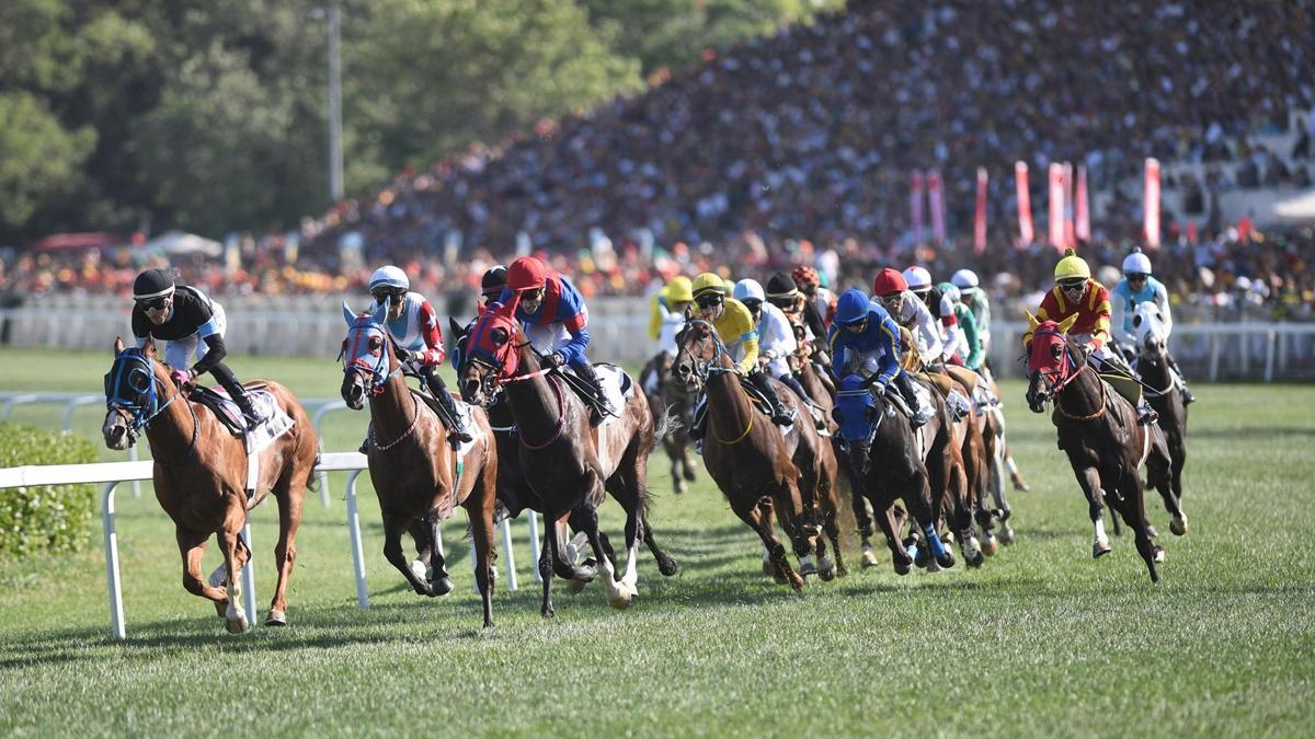 Veliefendi'de, İstanbul Yarış Festivali'ne doğru! Heyecan 2 gün sürecek...