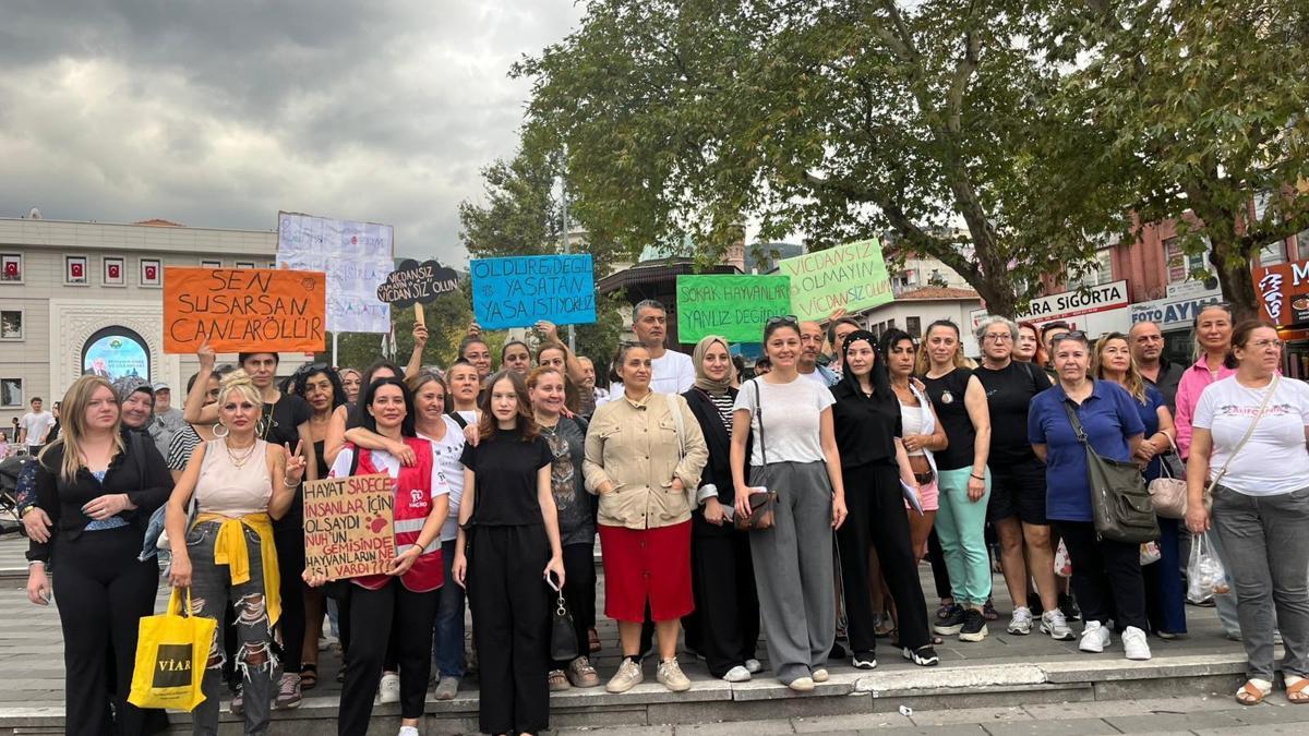 Bursa'da hayvanseverler; 'Belediyeler hak ihlali suçu işliyor'