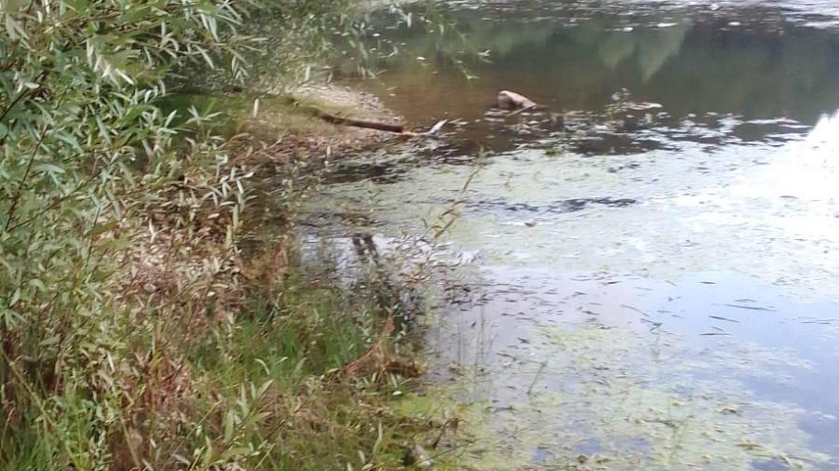 Köylüler, göldeki çöpleri temizledi