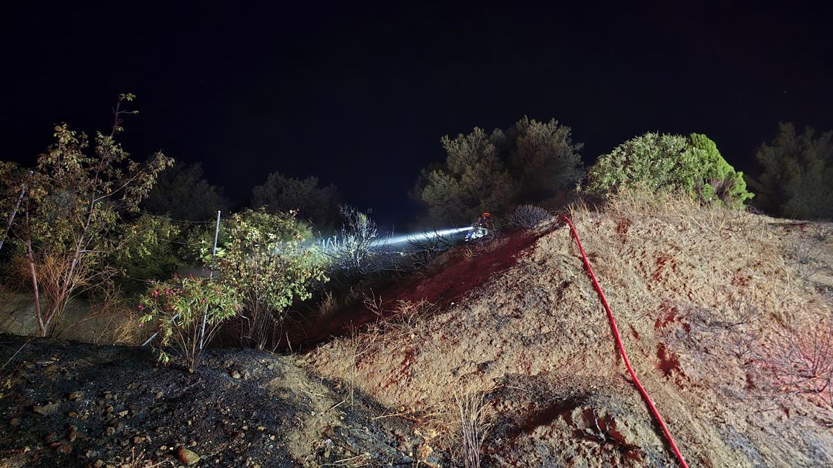 Bursada çıkan anız yangın yerleşim yerine ulaşmadan söndürüldü