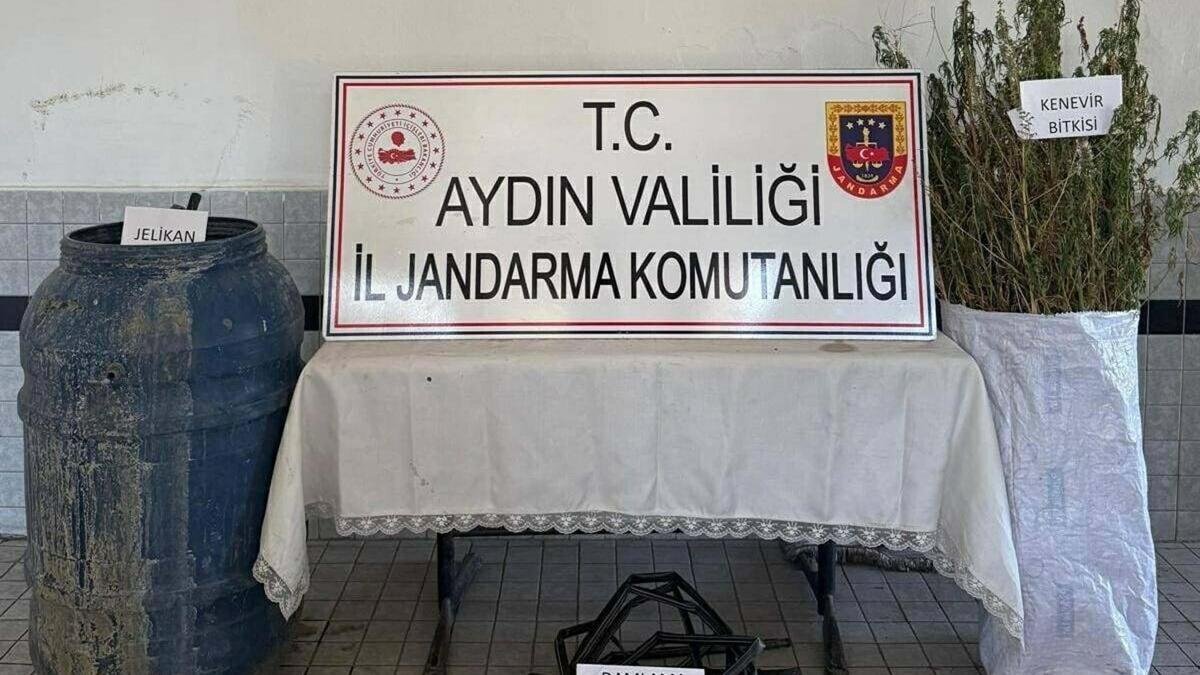 Ormanda Hint keneviri yetiştiren 5 şüpheliye gözaltı