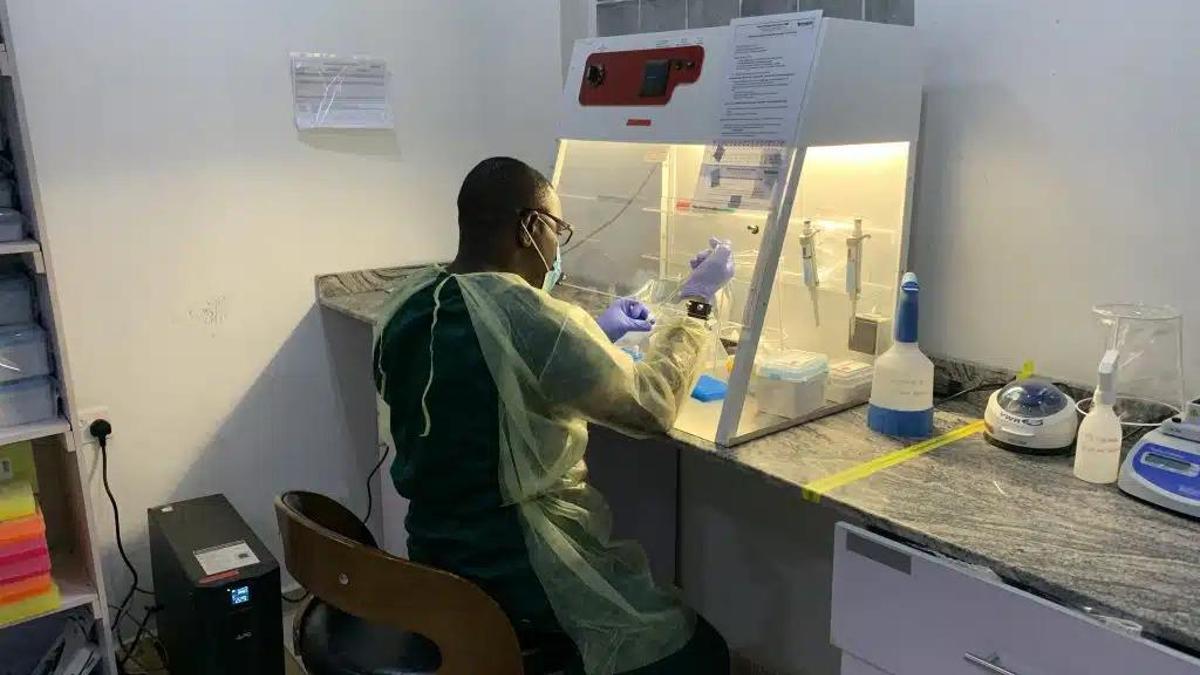 Nijeryada Lassa ateşi salgını: 162 ölü