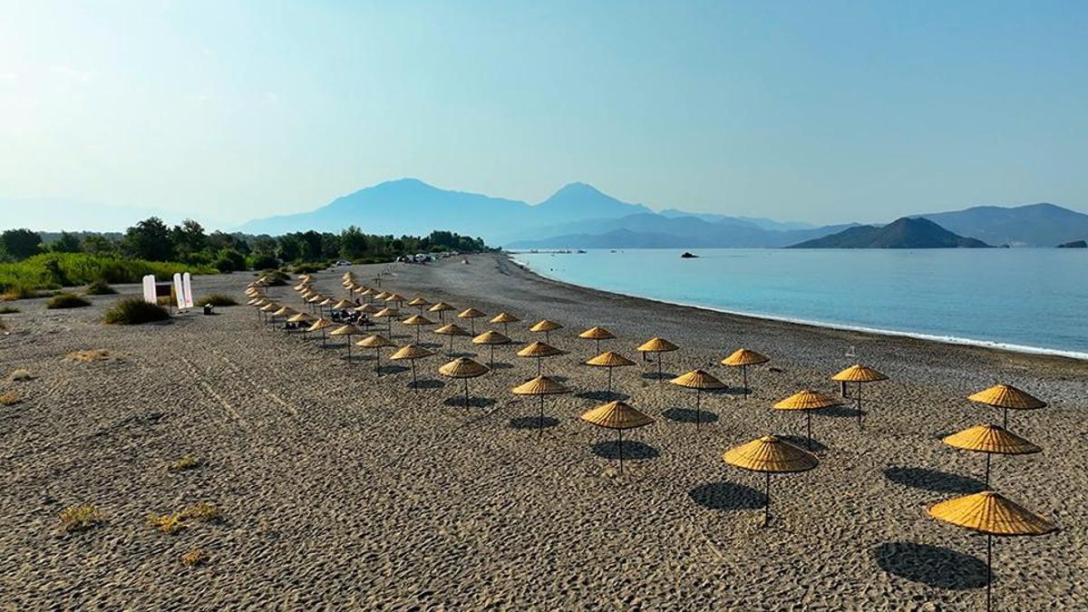 Bu yaz 8 plaj, yeniden düzenlenerek halkın ücretsi…