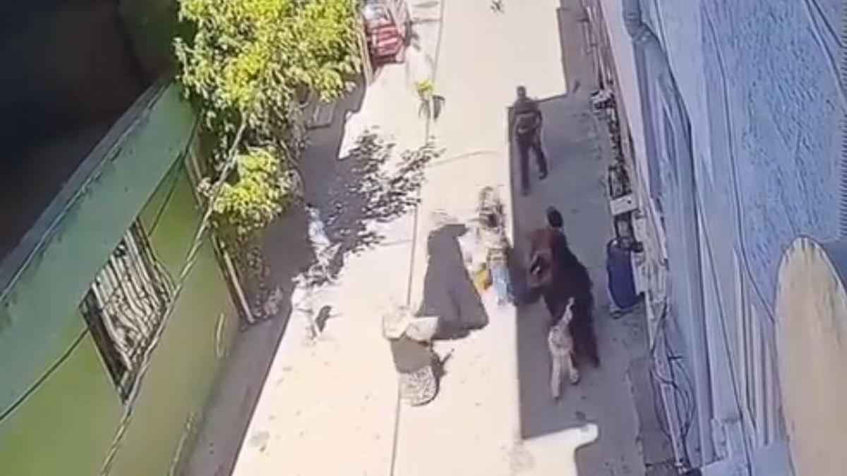 Kucağında çocuğu ile yürüyen anne dehşeti yaşadı: 3 kadın tekme tokat darbetti