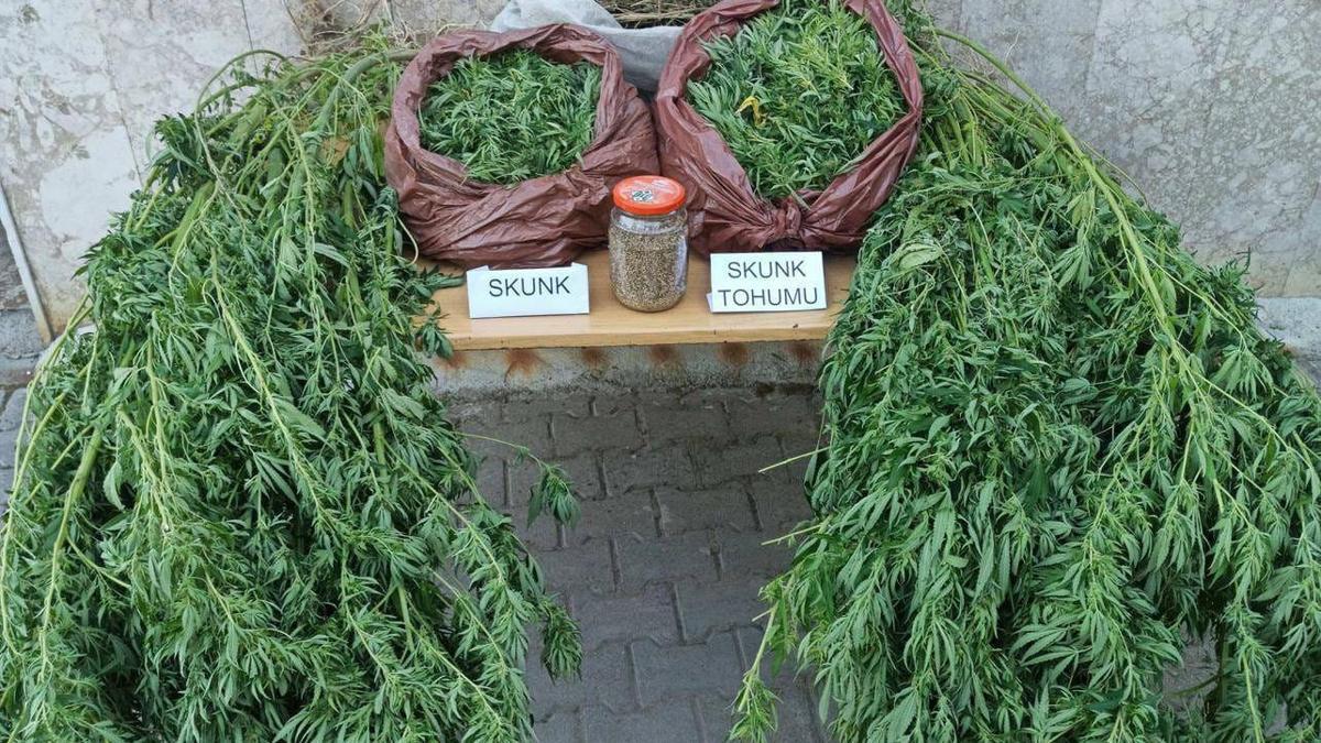 Korkuteli'de uyuşturucu operasyonu