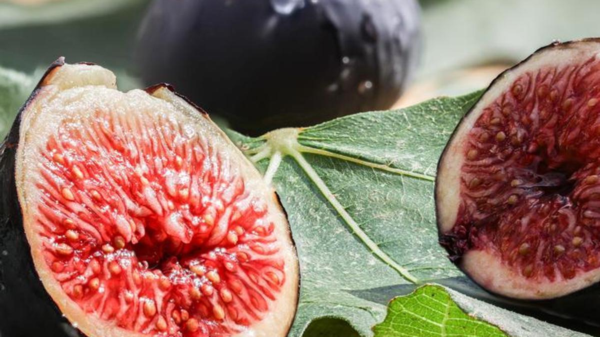 Bursa siyah incirinde bu yıl 17 bin ton ihracat hedefleniyor