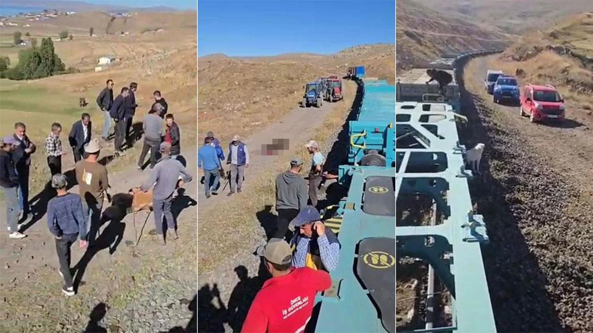 Yük treni büyükbaş sürüsüne çarptı; 5 inek telef oldu