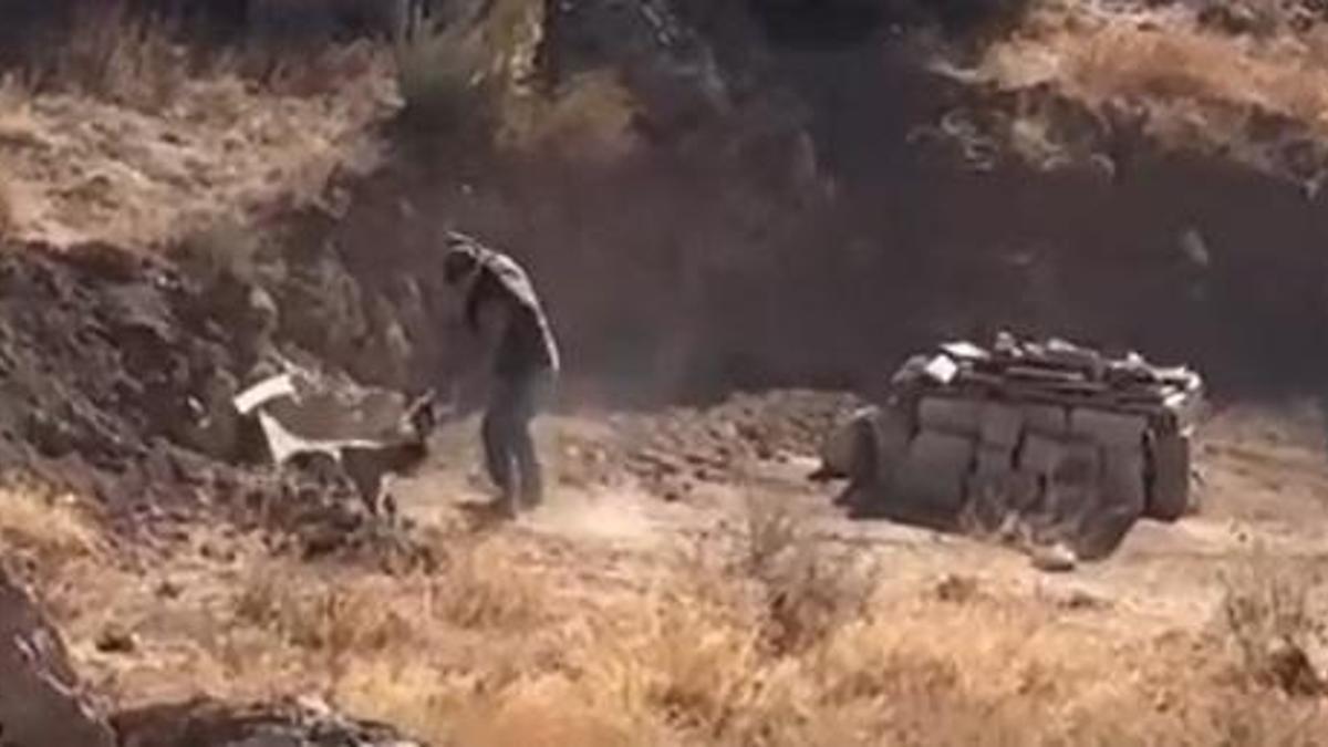 Sivas'ta köpeğine şiddet uygulayan kişi gözaltına alındı