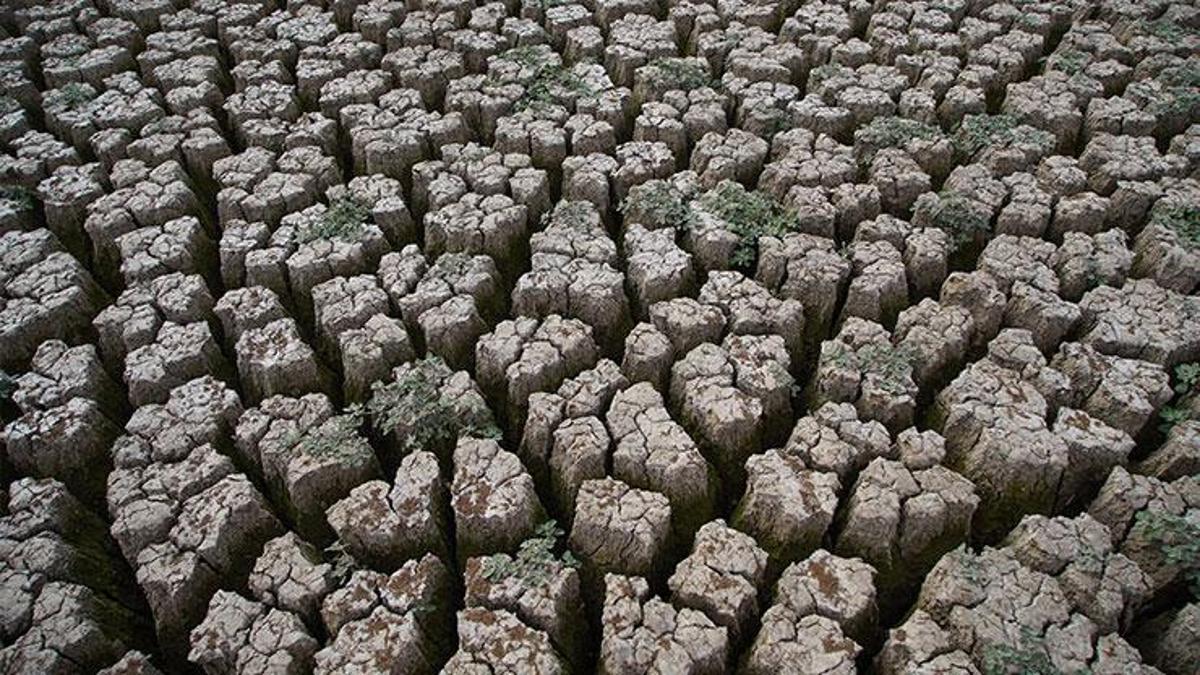 Edirne'deki Şerbettar Göleti kuraklık nedeniyle tamamen kurudu