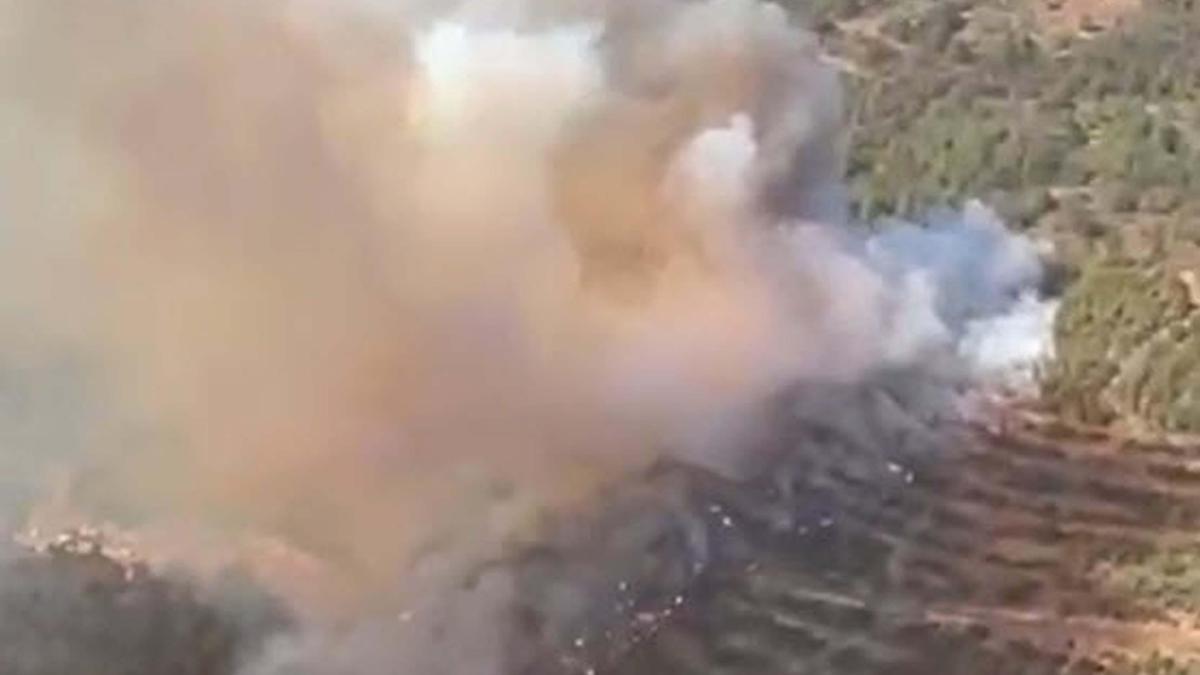 Balıkesir'de orman yangını