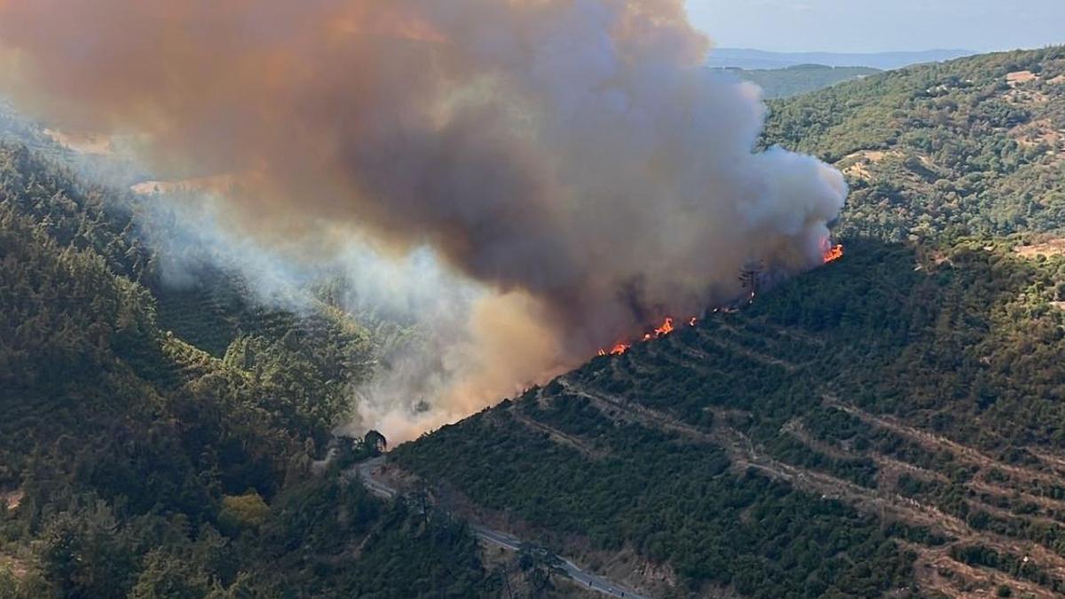 Balıkesir'de kaza yapan aracın neden olduğu orman …
