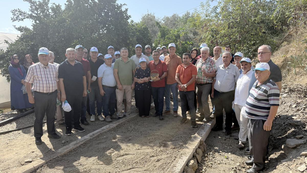 Alanya'da salep üretiminde ilk adım