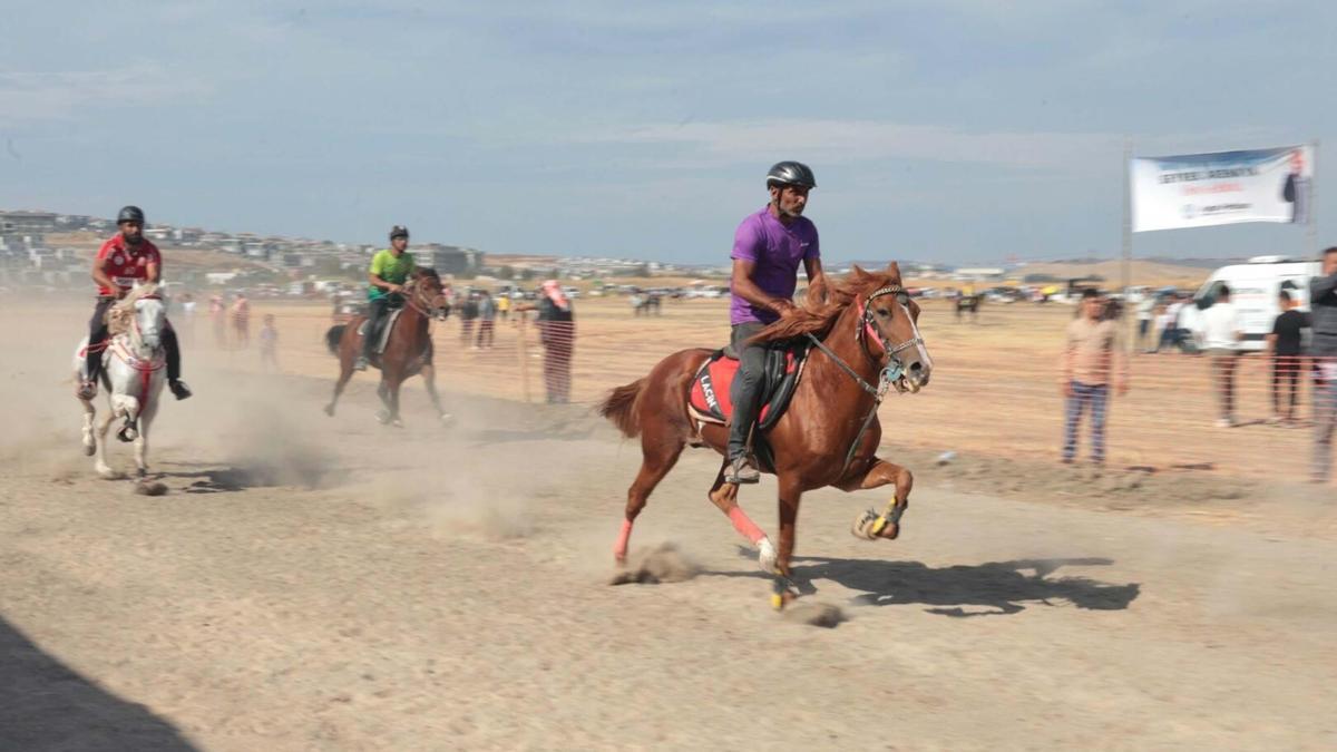 Türkiye'nin şampiyon rahvan atları Menemen'de yarıştı