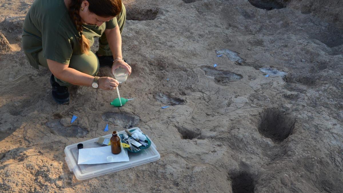 7 bin yıl öncesinden günümüze uzanan adımlar Hatayda keşfedildi