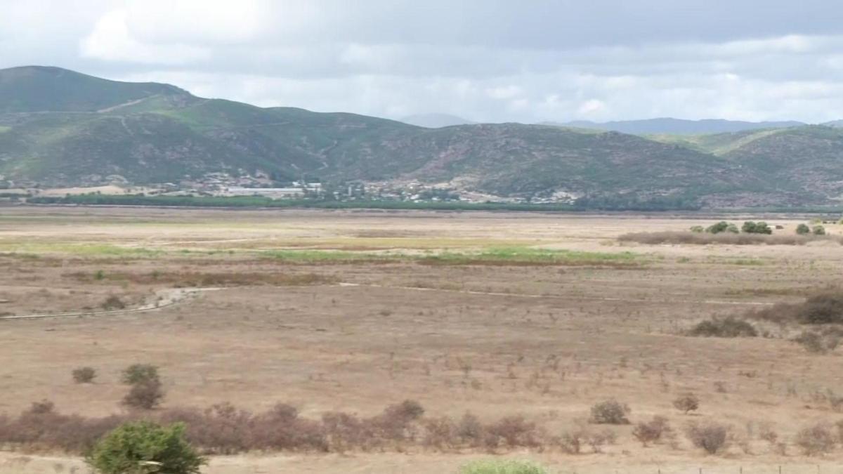Prof. Dr. Orhan Şen uyardı: Kuraklık İzmiri tehdit ediyor: Yağmur yok, su az!