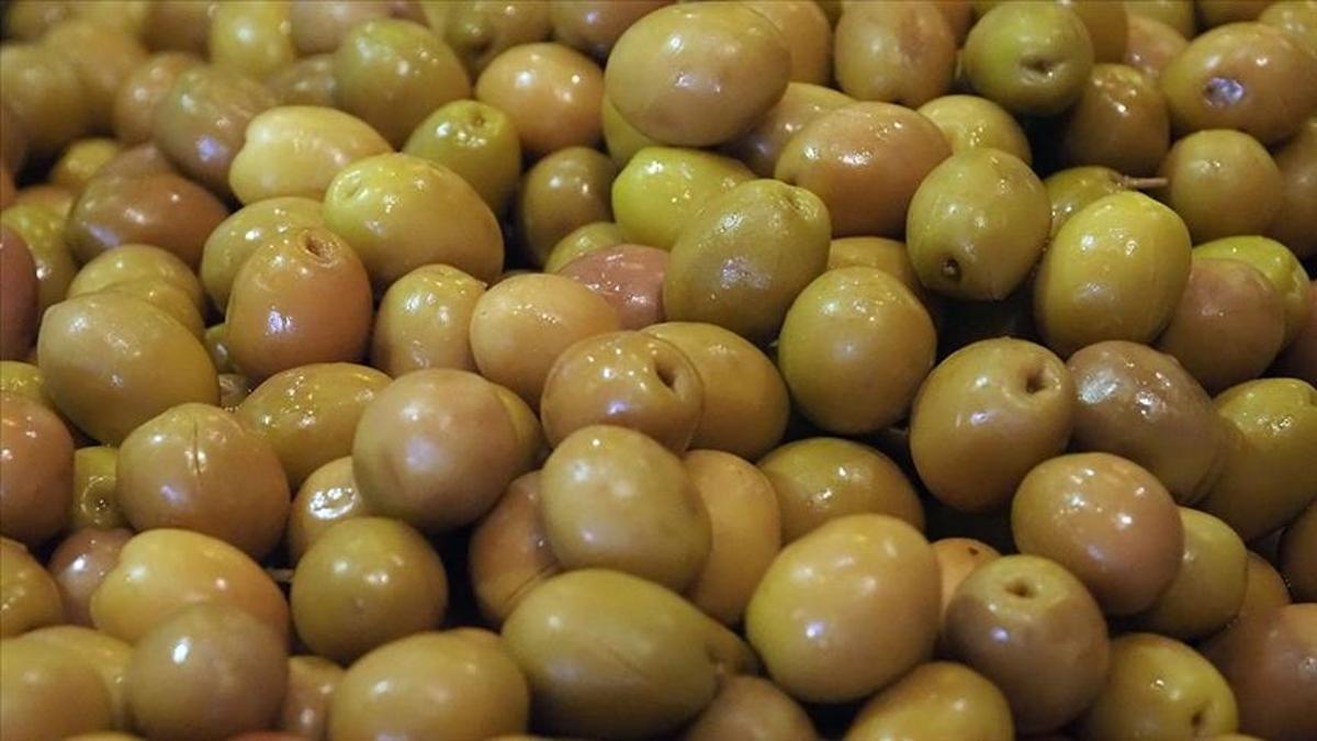 Türkiye sofralık zeytin ihracatında zirveye çıktı