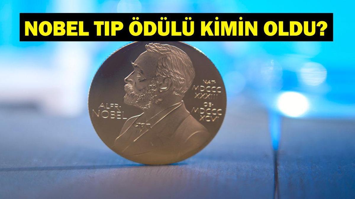 2025 NOBEL TIP ÖDÜLÜ KİMİN OLDU? Ödüller Sahiplerini Buldu! Mary Brunkow, Fred Ramsdell ve Shimon Sakaguchi Kimdir?