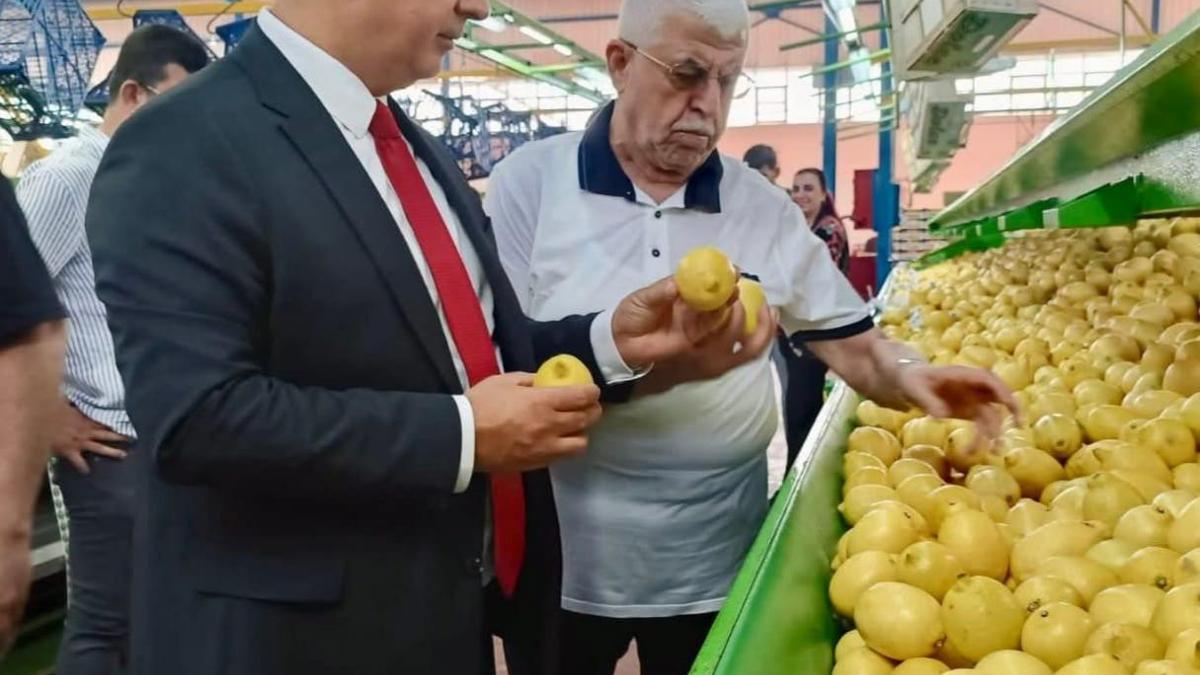 Hatayda limon ihracatı denetlendi