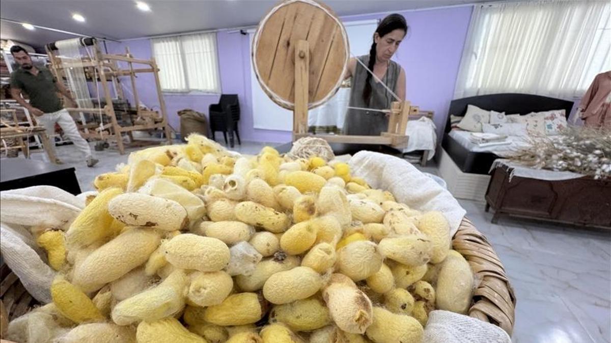 Hatay sarısı ipeği deprem sonrası hayata döndü