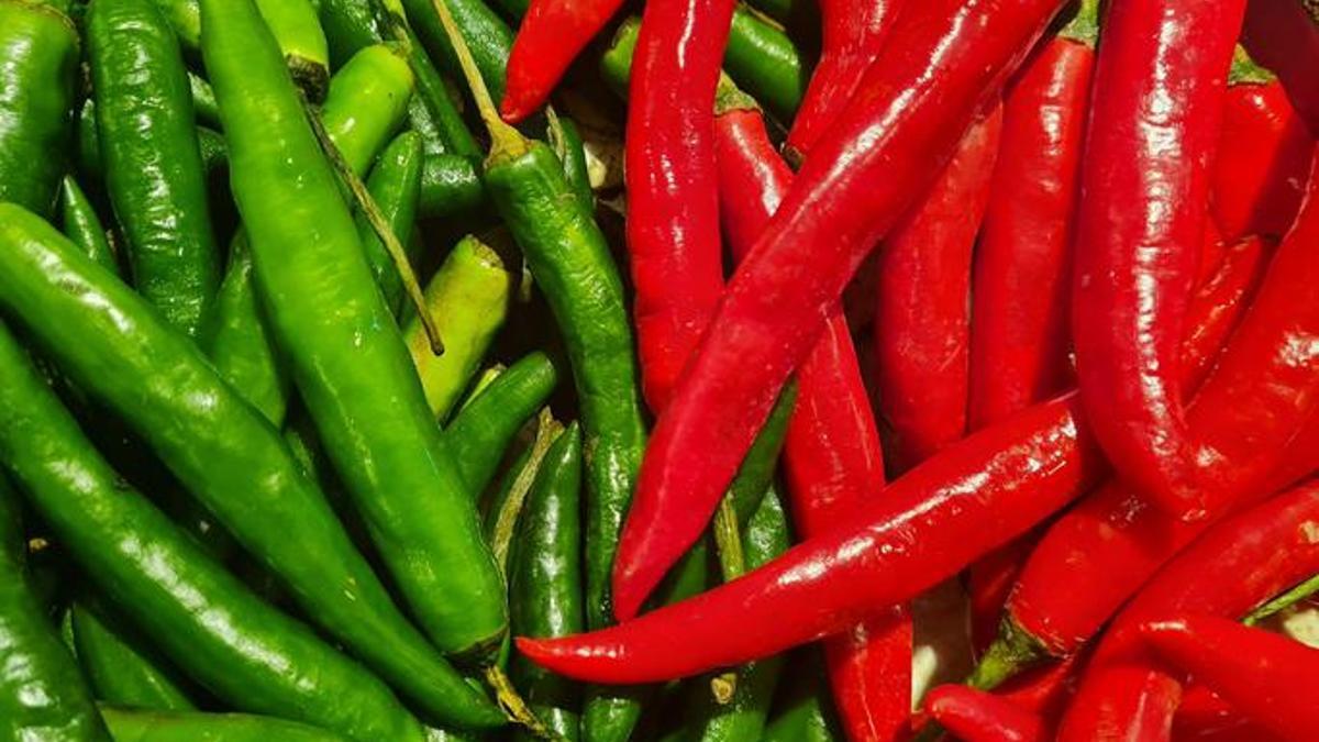 Biber ihracatında Türkiye’nin lokomotifi: Batı Akdeniz