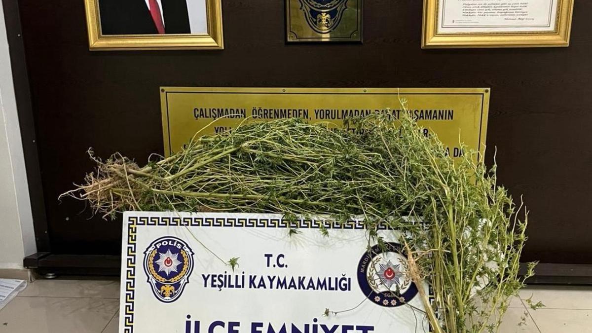 Mardinde uyuşturucu operasyonunda 3 gözaltı