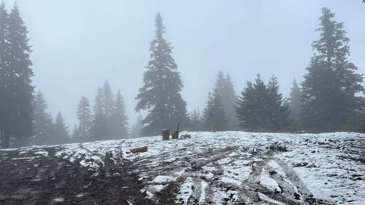 Bartın'ın yüksek kesimleri beyaza büründü