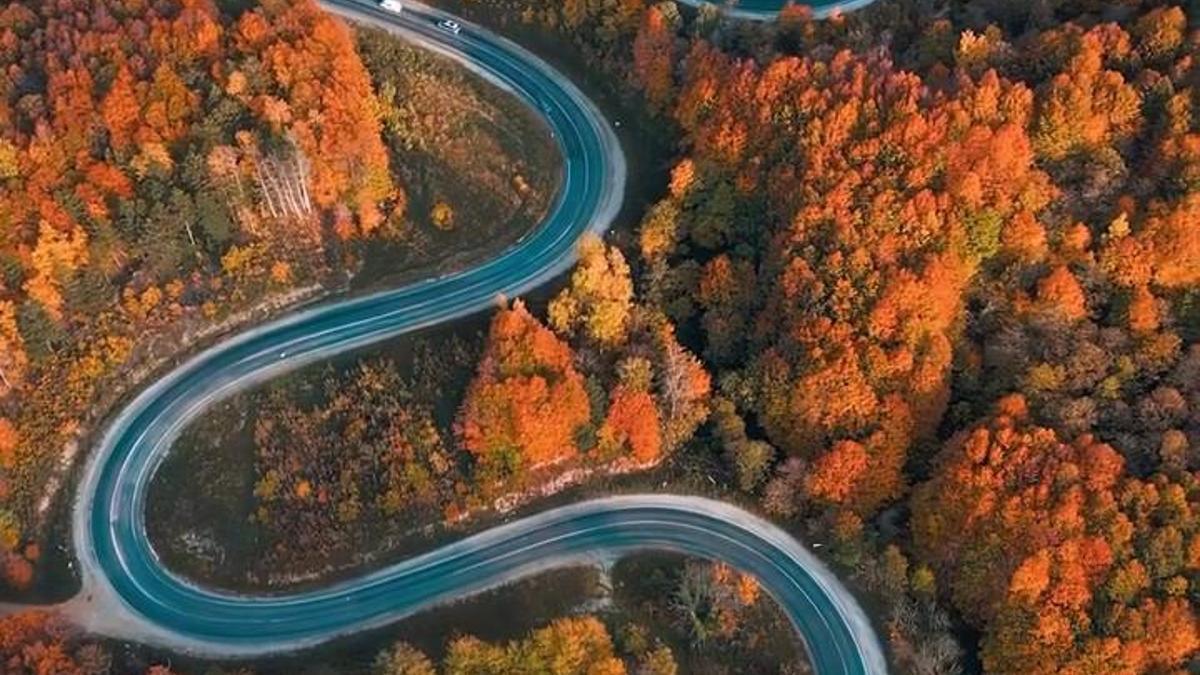 Domaniç Dağları'na uzanan 'kıvrımlı yollar'da sonbahar manzarası