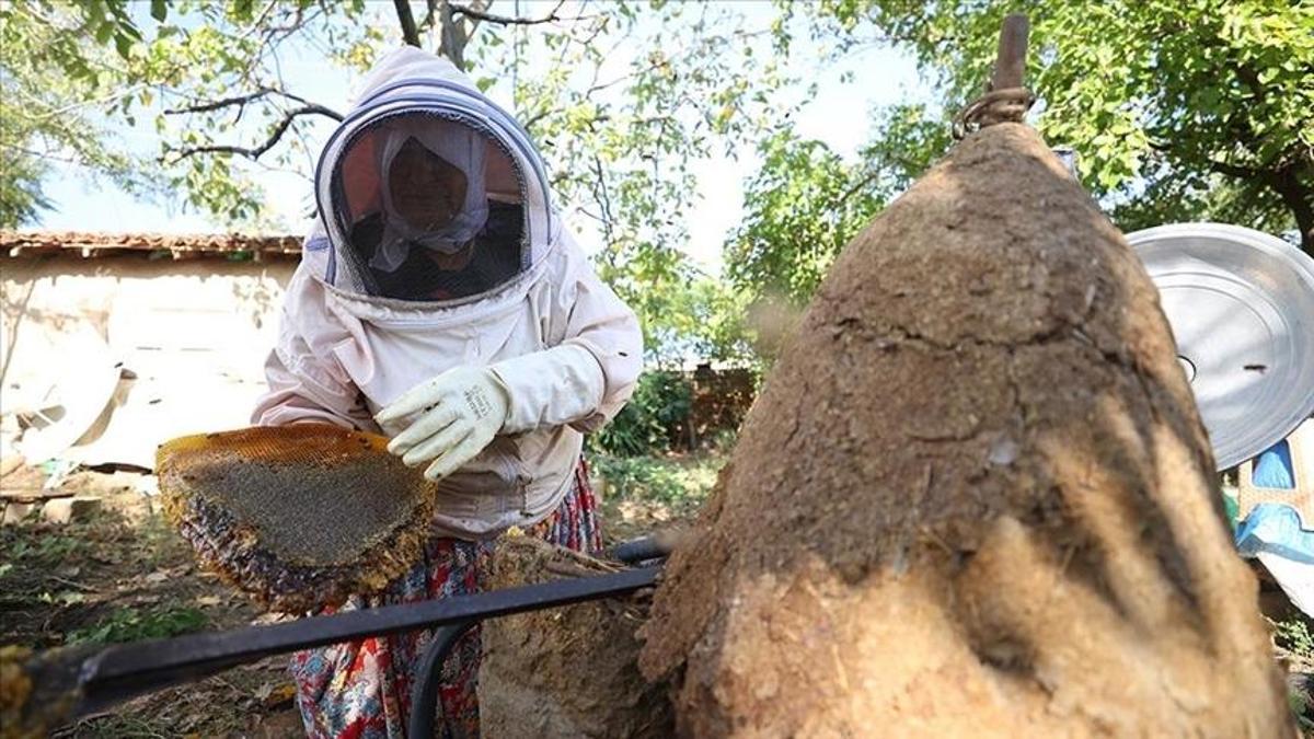 Kırklareli’nden organik sepet balı! 30 yıldır geleneksel üretim